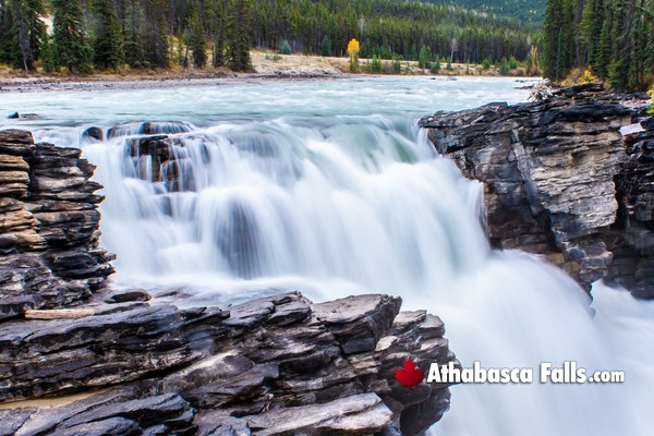 Athabasca Falls During August