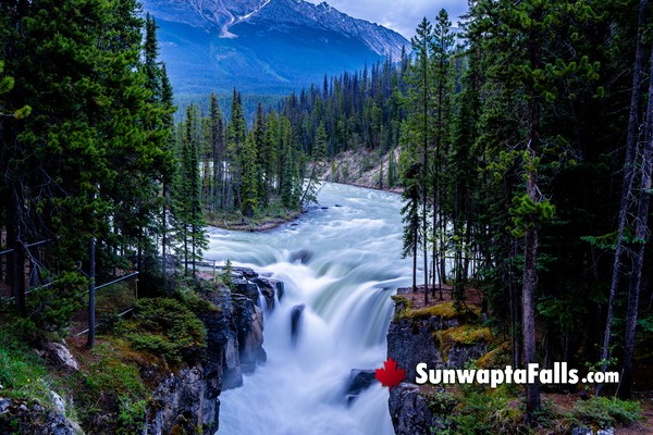 Sunwapta Falls in August